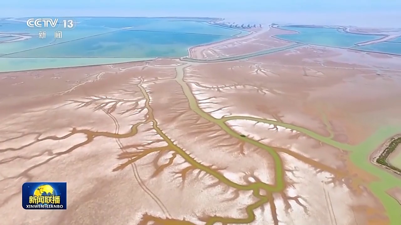 新思想引领新征程丨扎实推进生态文明建设 绘就美丽中国更新画卷  第4张