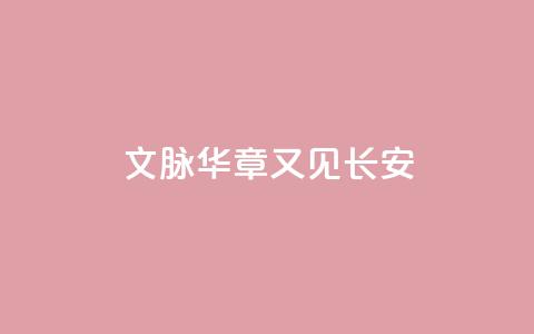 文脉华章｜又见长安  第1张
