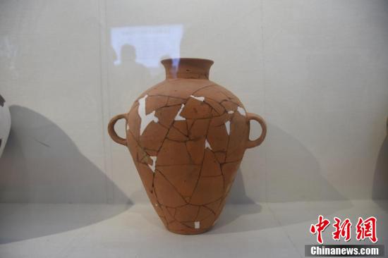【何以中国 行走河南】走进河南永城王庄遗址 感受5000年前大汶口文化聚落的礼制内涵 第8张 【何以中国 行走河南】走进河南永城王庄遗址 感受5000年前大汶口文化聚落的礼制内涵 第8张