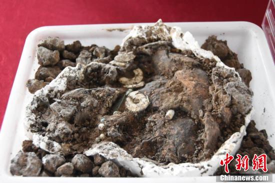 【何以中国 行走河南】走进河南永城王庄遗址 感受5000年前大汶口文化聚落的礼制内涵 第6张 【何以中国 行走河南】走进河南永城王庄遗址 感受5000年前大汶口文化聚落的礼制内涵 第6张