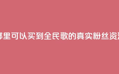 哪里可以买到全民K歌的真实粉丝资源  第1张 哪里可以买到全民K歌的真实粉丝资源  第1张
