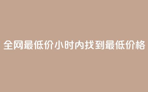 全网最低价：24小时内找到最低价格  第1张