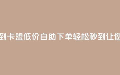 卡盟低价自助下单秒到 - 卡盟低价自助下单轻松秒到，让您省时省力省钱。  第1张