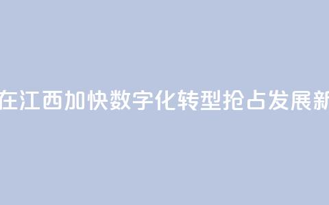 台商在江西:加快数字化转型 抢占发展新赛道  第1张 台商在江西:加快数字化转型 抢占发展新赛道  第1张