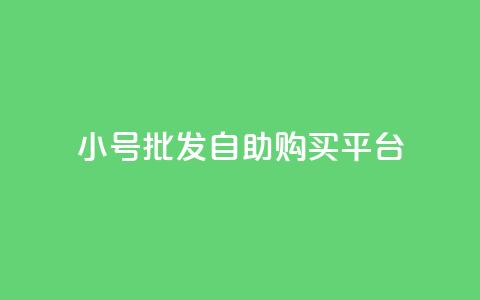 cf小号批发自助购买平台,抖音业务代理平台 - 快手点赞1元100个赞wx支付 巨量千川推广官网登录  第1张