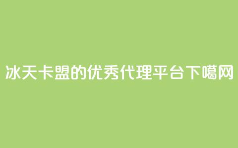 冰天卡盟的优秀代理平台  第1张