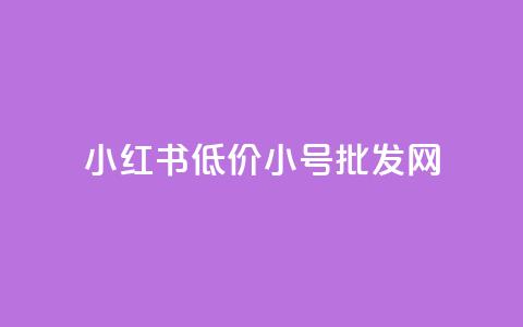 小红书低价小号批发网,今日头条账号买卖平台 - ks播放量低价 全网自助下单最便宜  第1张