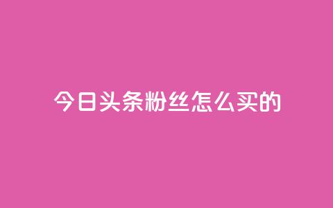 今日头条粉丝怎么买的 - vip影视会员一手货源批发 第1张 今日头条粉丝怎么买的 - vip影视会员一手货源批发 第1张