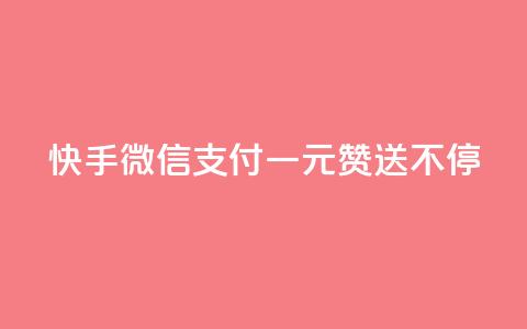 快手微信支付:一元赞送不停 第1张 快手微信支付:一元赞送不停 第1张