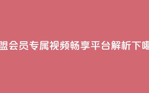 卡盟会员专属视频畅享平台解析  第1张