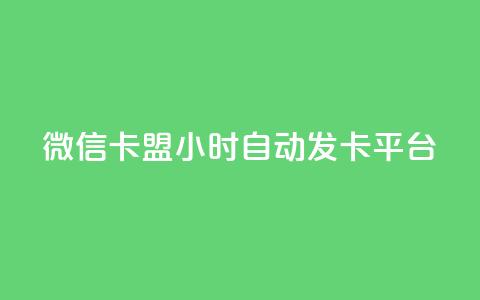 微信卡盟24小时自动发卡平台 - 微信卡盟：稳定发卡平台  24小时自动发卡	，快速、便捷的购卡体验。 第1张
