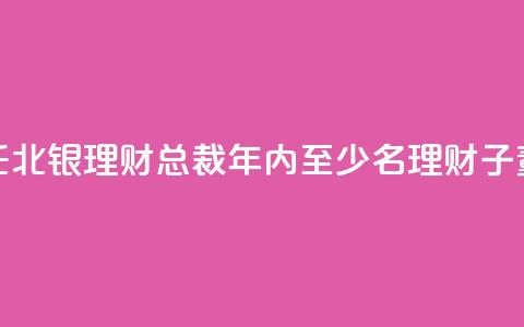 郭振涛获准出任北银理财总裁 年内至少8名理财子董事长、总裁焕新  第1张
