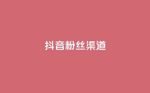 抖音粉丝渠道 - 如何通过抖音提高粉丝获取渠道的效果！  第1张