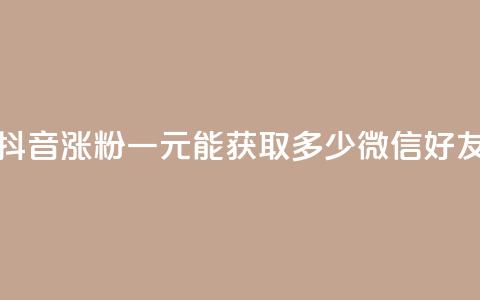抖音涨粉一元能获取多少微信好友  第1张 抖音涨粉一元能获取多少微信好友  第1张