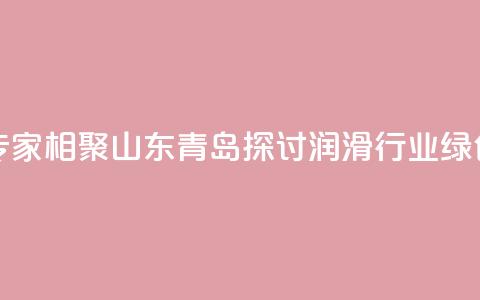 业界专家相聚山东青岛探讨润滑行业绿色发展  第1张 业界专家相聚山东青岛探讨润滑行业绿色发展  第1张