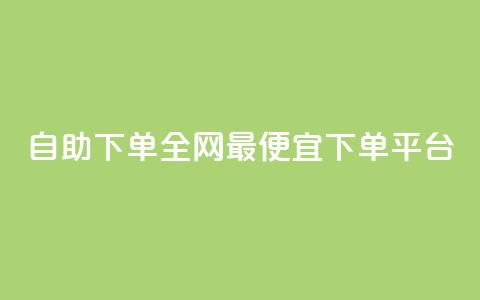 自助下单全网最便宜下单平台,抖音ios充值入口官网1比10 - ks播放量业务免费 卡盟点赞业务  第1张