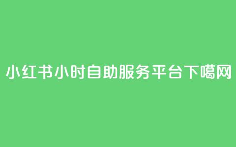 小红书24小时自助服务平台  第1张 小红书24小时自助服务平台  第1张