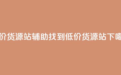 低价货源站辅助(找到低价货源站)  第1张