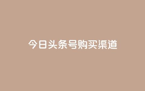 今日头条号购买渠道,抖音买站0.5块钱100个 - 抖音业务下单2 快手浏览下单  第1张