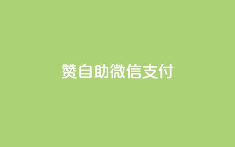 Ks赞自助微信支付,快手低价上热门 - 24小时秒单业务平台免费 快手最低价下单平台  第1张