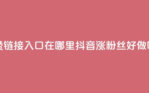 快手点赞链接入口在哪里 - 抖音涨粉丝好做吗  第1张