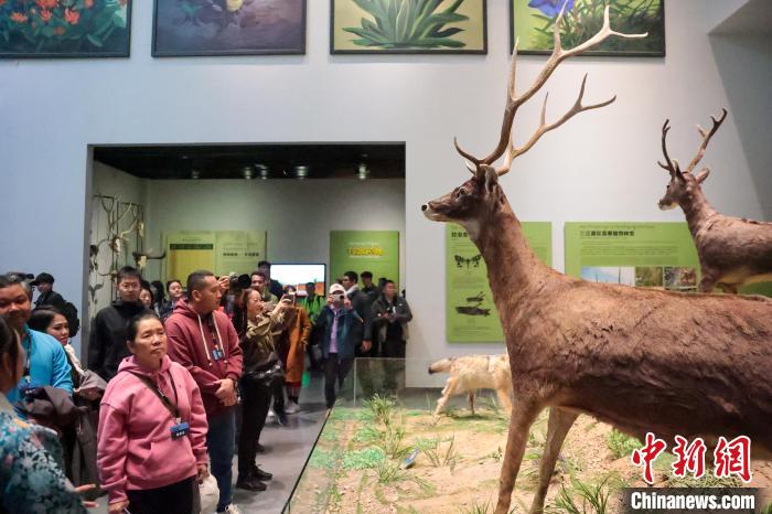 2024澜湄国际影像周启幕侧记：六国宾客江源互道“你好”  第3张