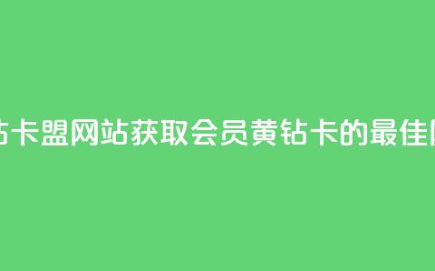 刷qq会员黄钻卡盟网站(获取QQ会员黄钻卡的最佳网站)  第1张