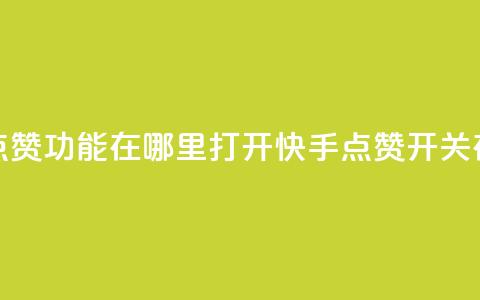 快手点赞功能在哪里打开(快手点赞开关在哪打？)  第1张