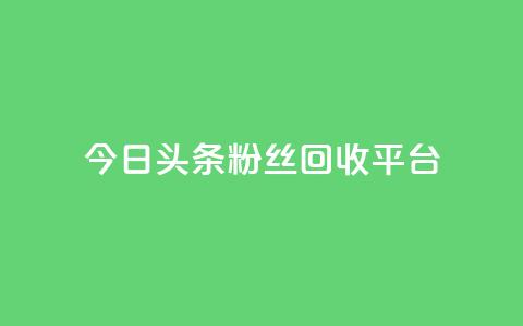 今日头条粉丝回收平台,1元涨100赞快手网站 - 拼多多充抖音为什么还贵点 qq空间人气自助  第1张