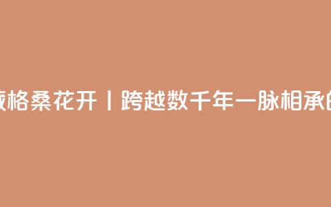 寻觅西藏 格桑花开丨跨越数千年一脉相承的藏医药  第1张