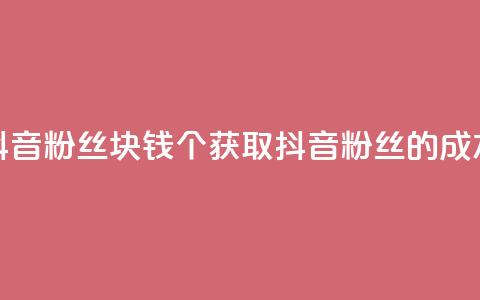 抖音粉丝1块钱10个(获取抖音粉丝的成本)  第1张