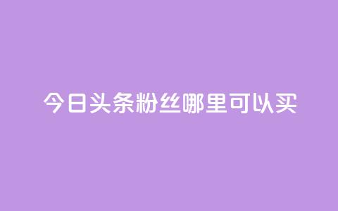 今日头条粉丝哪里可以买 - 今日头条粉丝购买渠道指南。  第1张