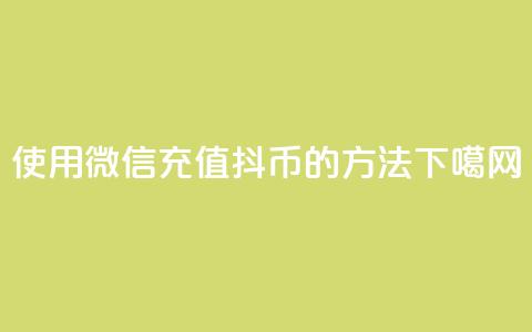 使用微信充值抖币的方法 第1张 使用微信充值抖币的方法 第1张