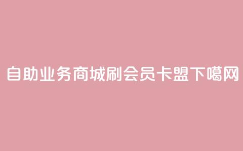 自助业务商城 - 刷vip会员卡盟 第1张 自助业务商城 - 刷vip会员卡盟 第1张
