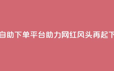 热门自助下单平台助力网红风头再起  第1张