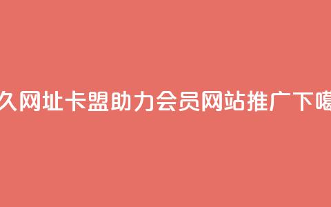 永久网址卡盟助力QQ会员网站推广  第1张
