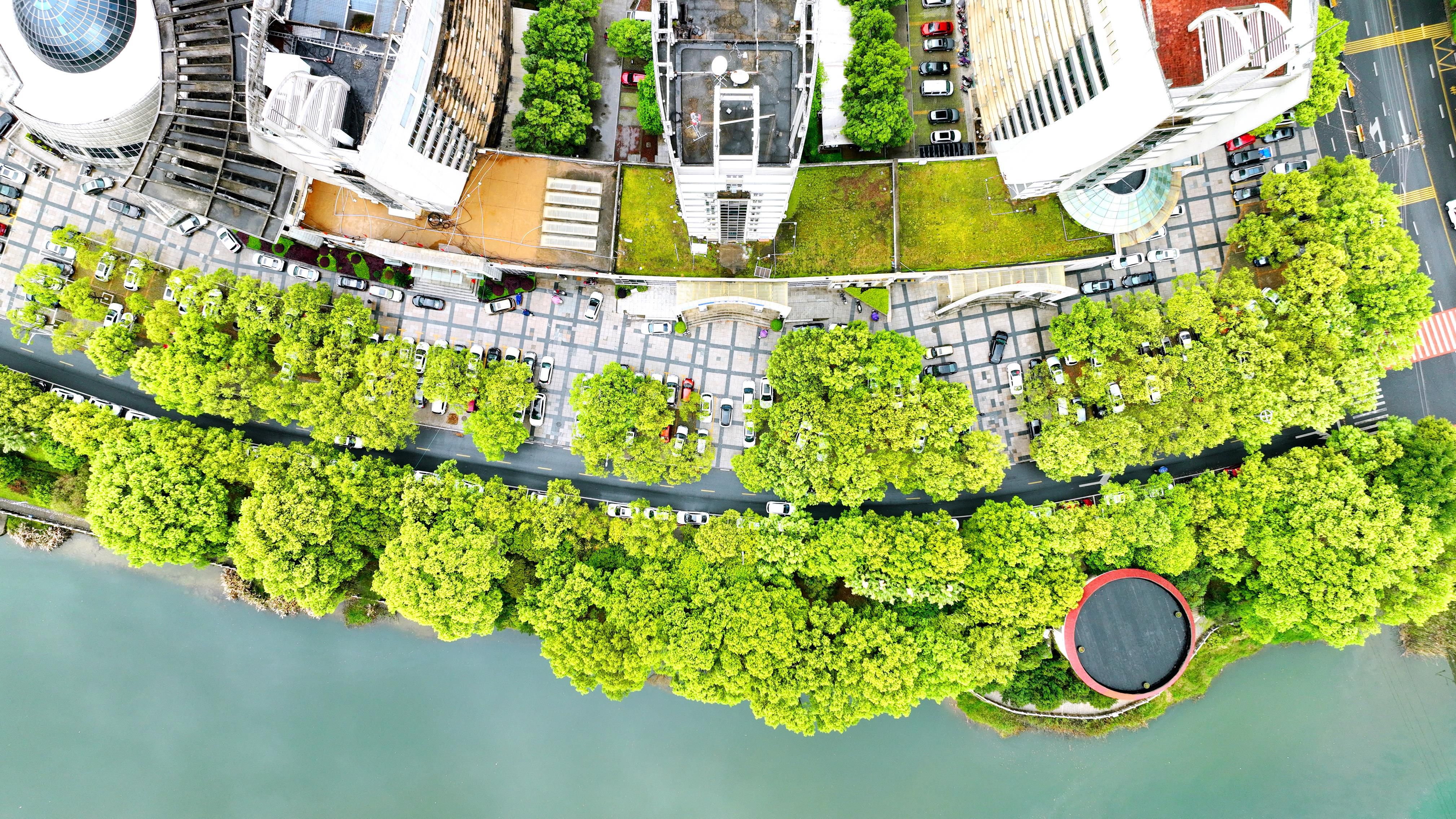 改革为人民丨城市更新，让生活更美好  第9张