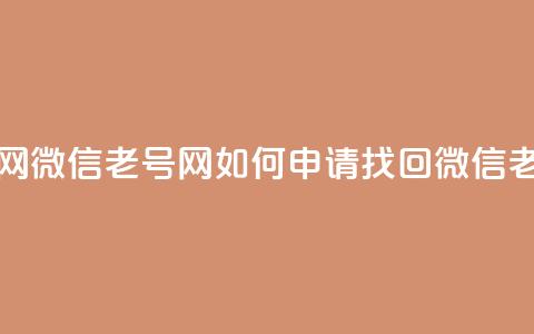 51微信老号网 - 51微信老号网如何申请找回微信老号~  第1张