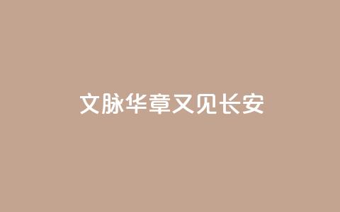 文脉华章|又见长安  第1张 文脉华章|又见长安  第1张