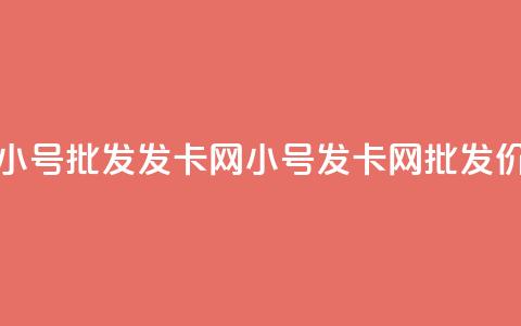 vx小号批发发卡网(VX小号发卡网批发价)  第1张