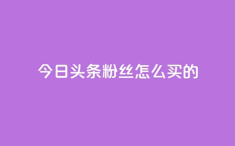 今日头条粉丝怎么买的,全网最便宜qq24小时自助下单平台 - 免费领取qq说说赞自助平台 qq高质量小号自助下单  第1张