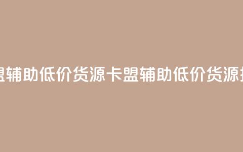 卡盟辅助低价货源(卡盟辅助低价货源推荐)  第1张