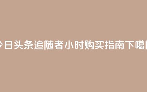 今日头条追随者24小时购买指南 第1张 今日头条追随者24小时购买指南 第1张