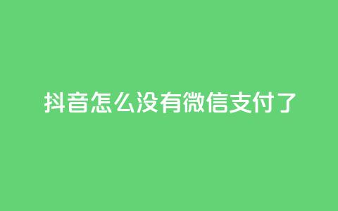 抖音怎么没有微信支付了 - 抖音为何移除了微信支付功能?!  第1张 抖音怎么没有微信支付了 - 抖音为何移除了微信支付功能?!  第1张