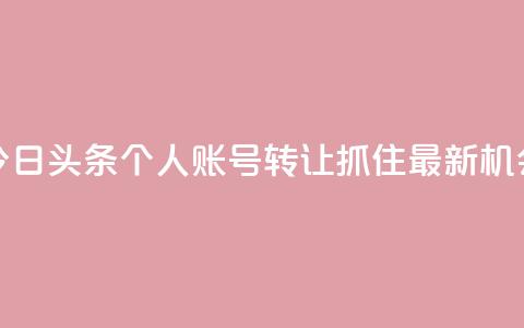 今日头条个人账号转让：抓住最新机会  第1张