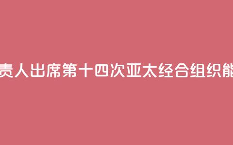 中国国家能源局负责人出席第十四次亚太经合组织能源部长会议  第1张