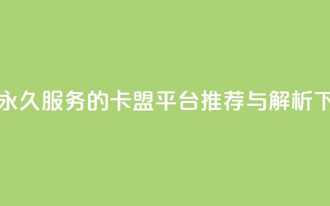 QQ会员永久服务的卡盟平台推荐与解析 第1张 QQ会员永久服务的卡盟平台推荐与解析 第1张