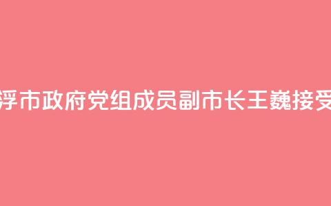 广东省云浮市政府党组成员、副市长王巍接受审查调查  第1张