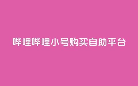 哔哩哔哩小号购买自助平台,抖音自助平台业务下单秒到 - 抖音快手业务网 qq我访问了几次对方会知道吗  第1张