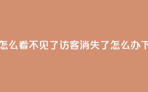 qq访客怎么看不见了 - qq访客消失了怎么办!  第1张 qq访客怎么看不见了 - qq访客消失了怎么办!  第1张